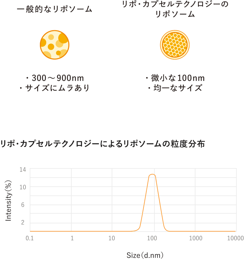 Japan's high-quality liposome image - Diagram of the size and absorption rate of vitamin C